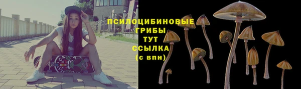 а пвп мука Абаза