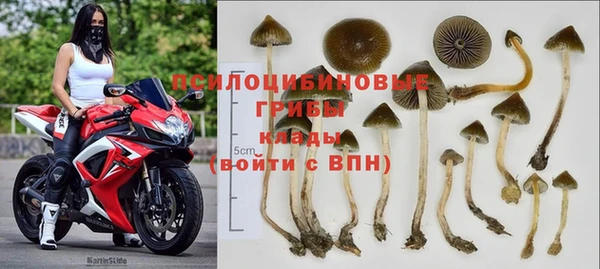 мяу мяу мука Нягань